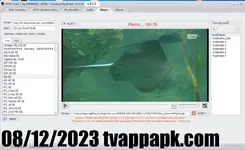 tvappapk.png tvappapk.png
